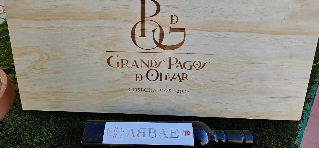 Catamos Abbae de Queiles 25/26.