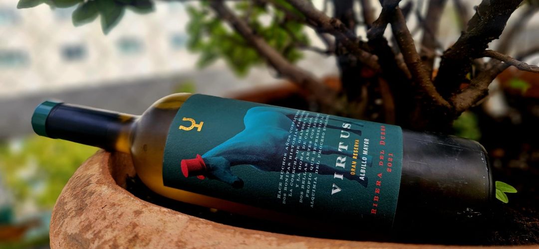 Virtus Albillo Mayor 2021: la elegancia de una variedad histórica de la Ribera del Duero.