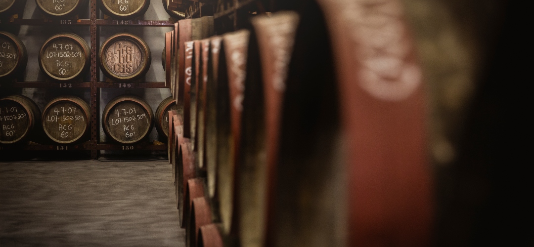 La zafra del ron Arehucas en Gran Canaria: tradición, historia y el sabor de la caña.