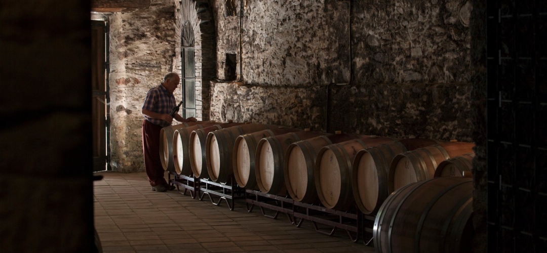 Xocas Godello 2023. El vino más exclusivo de la Bodega Joaquín Rebolledo.