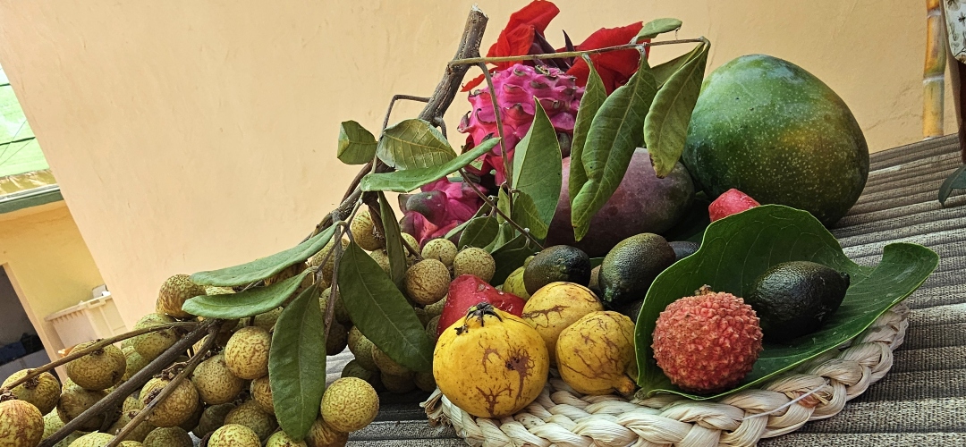 Restaurante Callao: de la Huerta a la Mesa, la experiencia gastronómica más cool en Gran Canaria.