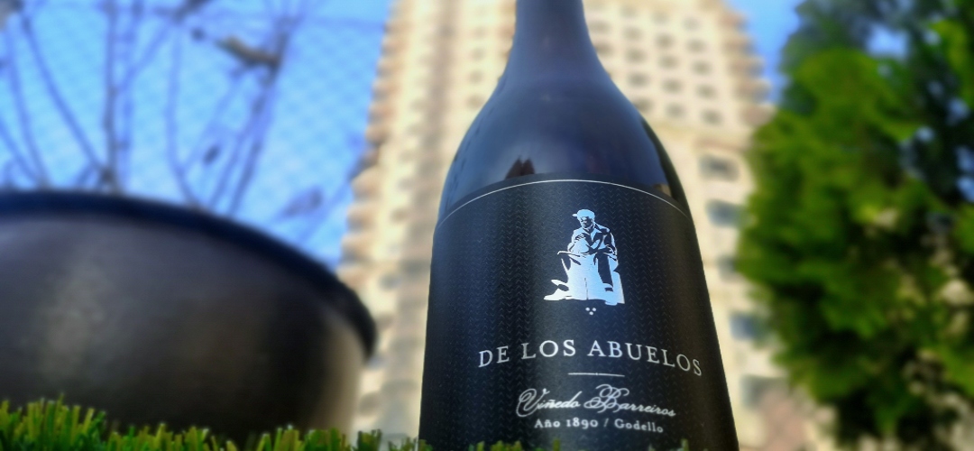 De los abuelos viñedo Barreiros Godello 2021, el Godello heróico