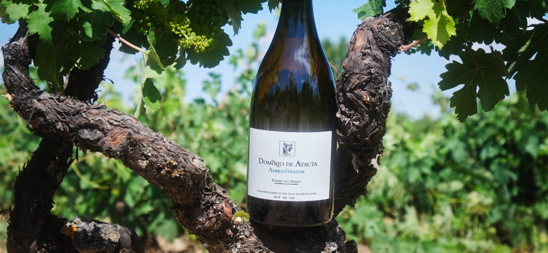 Dominio de Atauta consolida su propuesta enoturística para la Ribera del Duero soriana. 