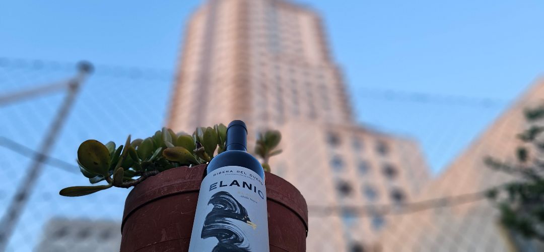 ELANIO 2025: la expresión más libre de la Albillo Mayor en Ribera del Duero.