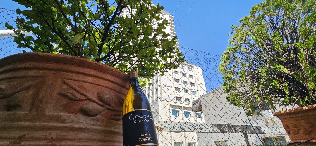 Godeval Cepas Vellas 2024: la madurez de la godello desde el viñedo. 