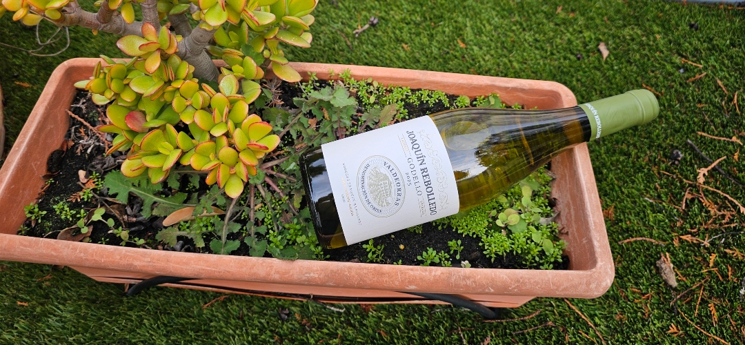 JOAQUIN REBOLLEDO 2025: El Godello con el que podrás enamorar en San Valentin.