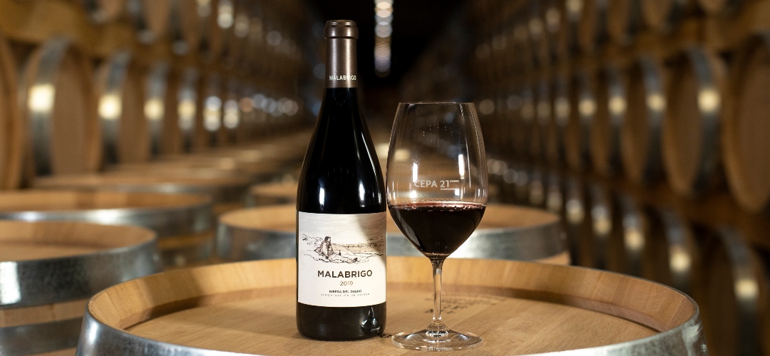 Malabrigo 2019: nueva añada de este vino de altura de Bodegas Cepa 21.