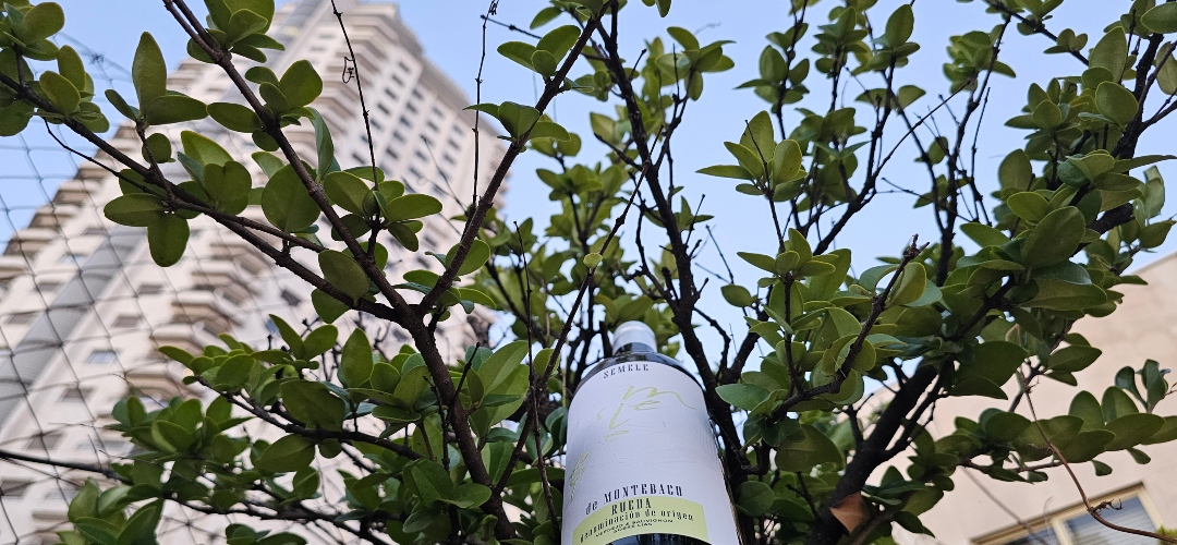 Semele Blanco 2025: Montebaco redefine su identidad con un blanco de vocación gastronómica.