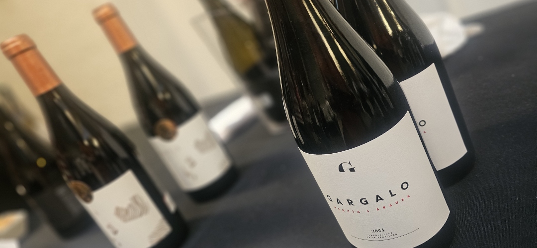 La D.O. Monterrei refuerza su posicionamiento en Madrid con un exclusivo túnel de vinos. 