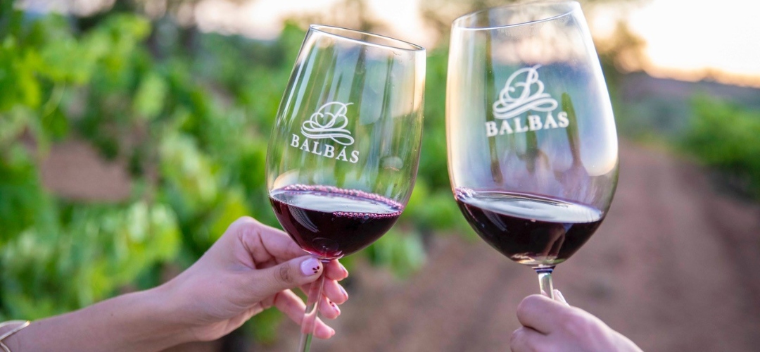 Bodegas Balbás propone 3 visitas para hacer enoturismo en La Horra, el diamante de oro de la Ribera del Duero