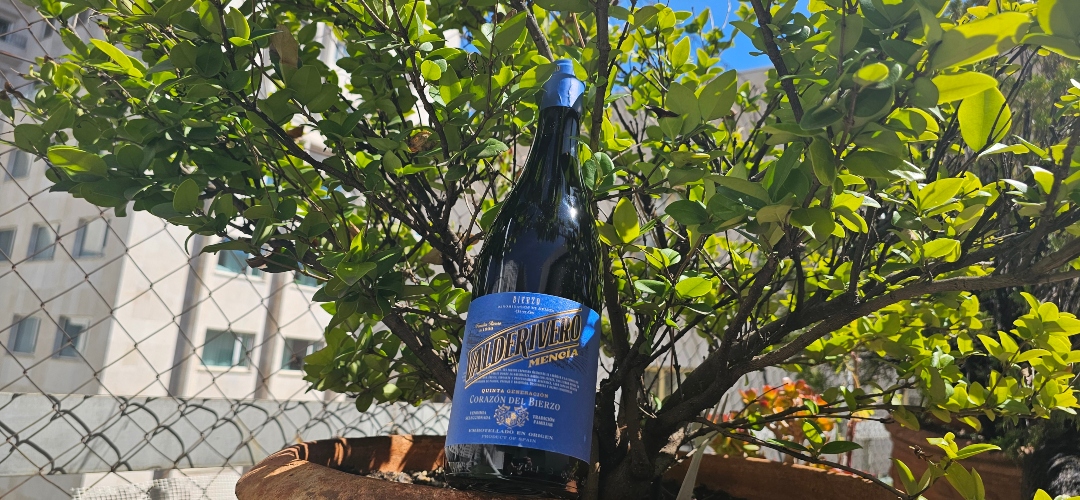 Valderivero impulsa la Mencía del Bierzo con un tinto de perfil fresco, expresivo y contemporáneo