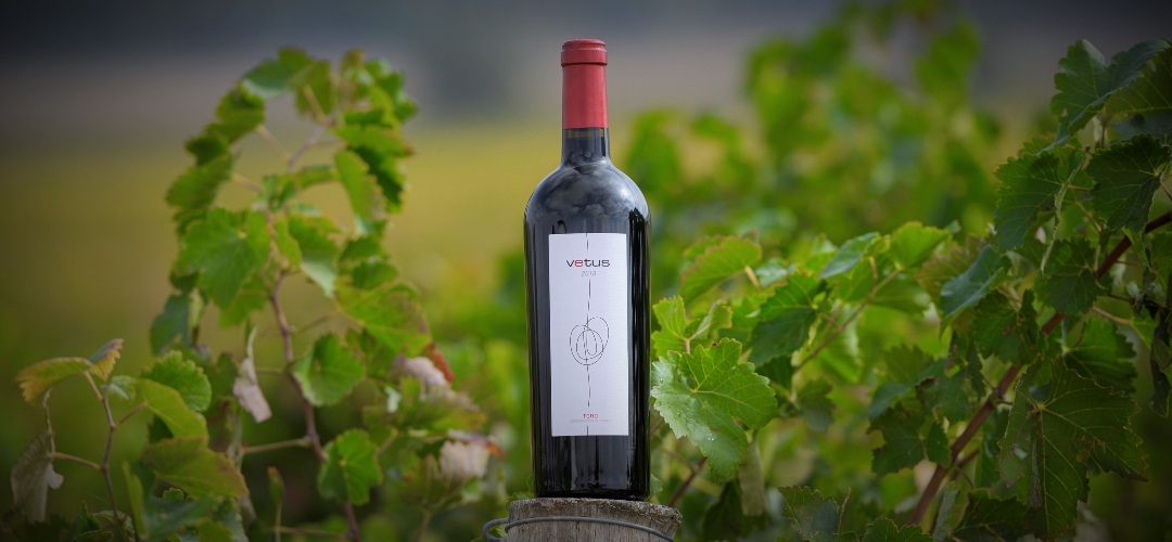 Vetus 2018, vanguardia y terruño de la DO Toro.