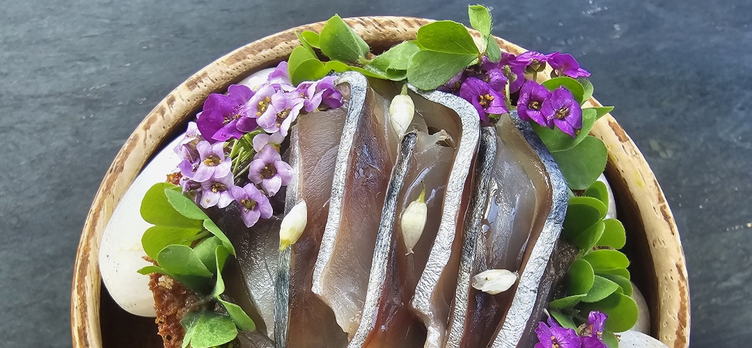Yume, un destino gastronómico que no debes perderte esta Primavera.
